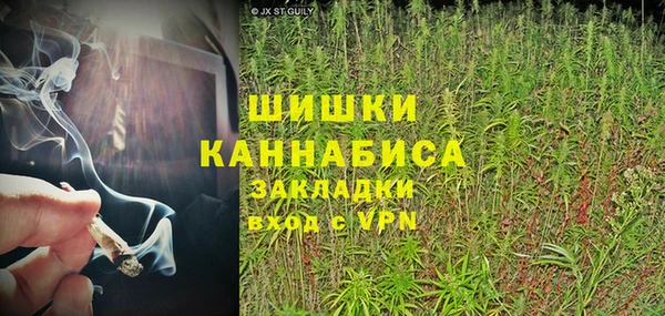 кокс Михайлов