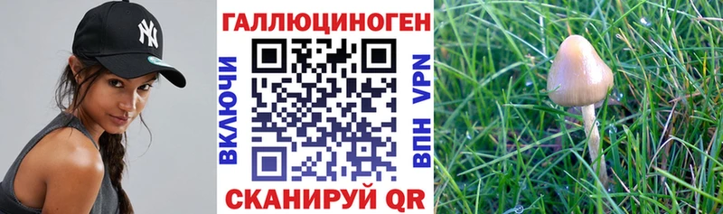 Галлюциногенные грибы мицелий  Североуральск 
