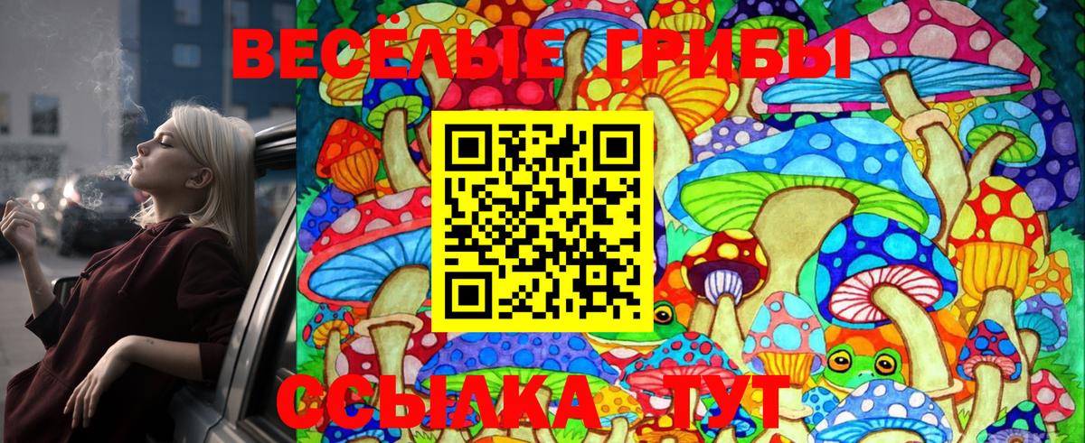 где можно купить наркотик  Североуральск  Галлюциногенные грибы MAGIC MUSHROOMS 